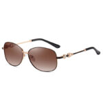 Moissanite Diamond-Designed Sunglasses with Classic Edging – Luxury Eye Wear